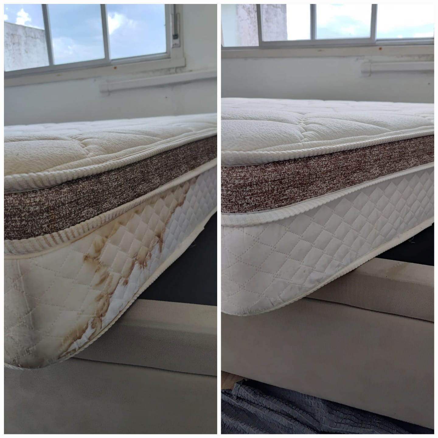 Antes e depois higienização 8