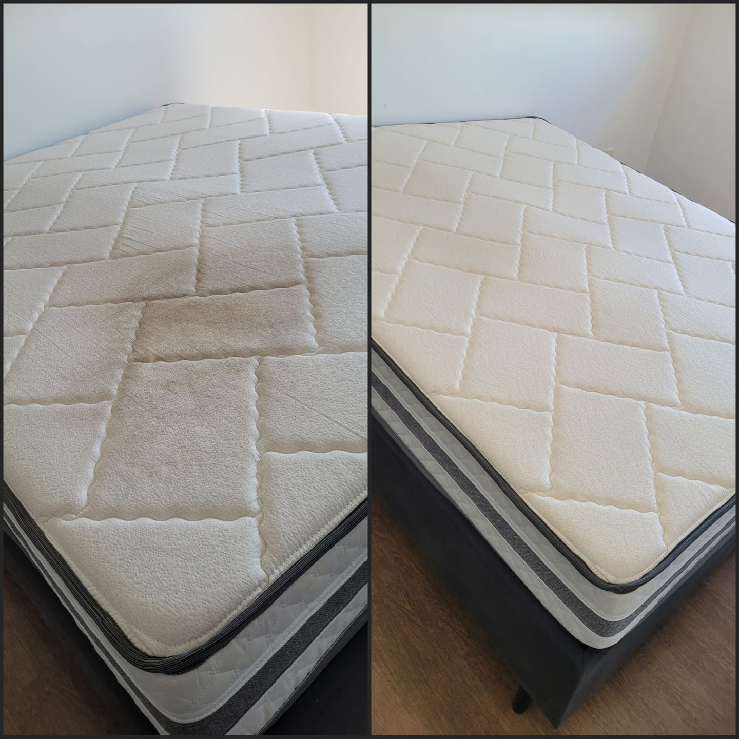 Antes e depois higienização 10